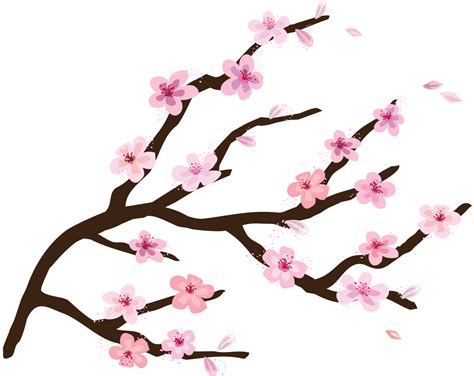 Clip Art Cherry Blossom Transparent Background / Japan Cherry blossom Vector graphics Branch ...