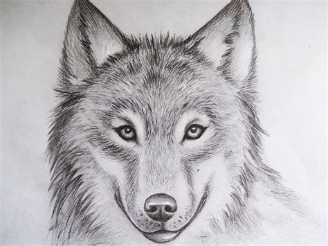 155 best images about amazing drawings on Pinterest | Portrait, Cool easy drawings and Awesome ...