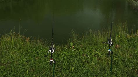 White Bass Lures - Finn's Fishing Tips