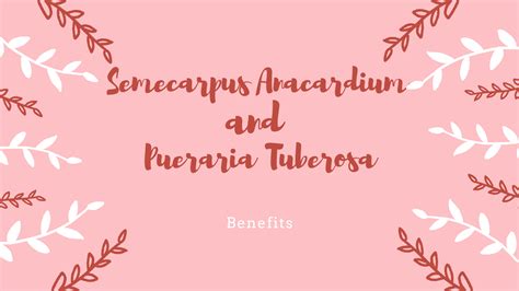 Benefits of Semecarpus Anacardium and Pueraria Tuberosa – Grocare® India