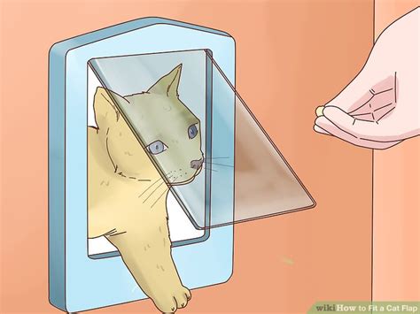 How to Fit a Cat Flap: 14 Steps (with Pictures) - wikiHow