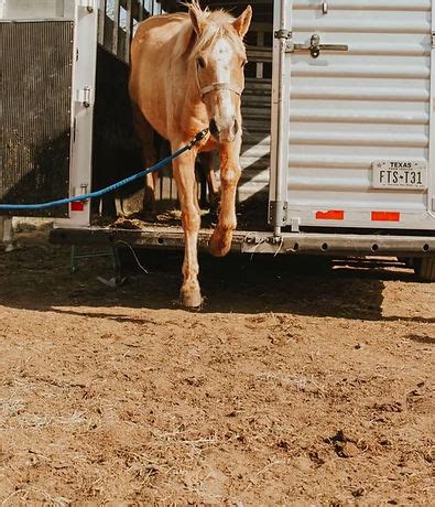 Programs | All Seated In a Barn