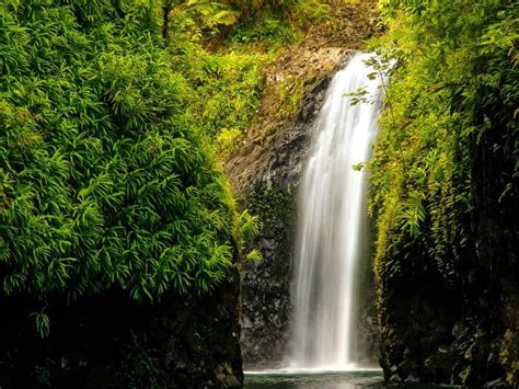 10 magnificent waterfalls in Fiji worthy of a hike - International Traveller