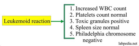 Leukemoid Reaction and Diagnosis (D/D from Chronic Myelocytic leukemia) - Labpedia.net