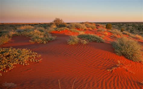 Red dunes, Simpson Desert - Australian Geographic