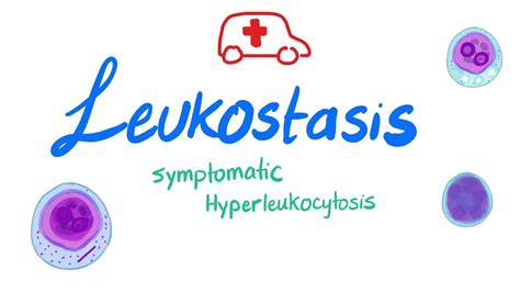 Leukostasis (Symptomatic Hyperleukocytosis) - YouTube