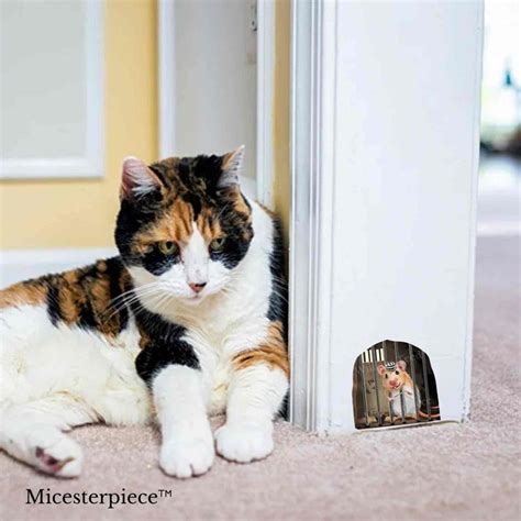 3D Mouse Trap in Mouse Hole Wall Decal Sticker Removable - Etsy