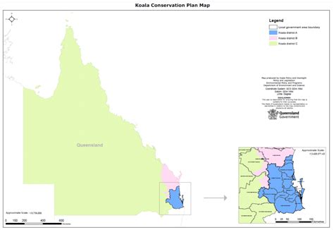 The Sad Reality About Gum Tree Removal That We Need To Know