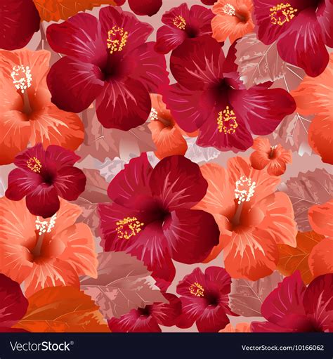 Red hibiscus flower seamless floral background Vector Image