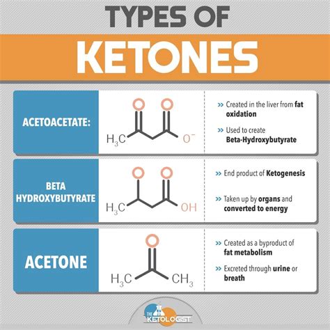 Pin on Keto101