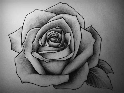 22+ Rose Drawings , Art Ideas | Design Trends - Premium PSD, Vector Downloads