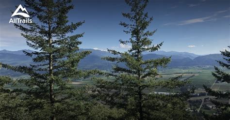 10 Best hikes and trails in Sumas Mountain Regional Park | AllTrails