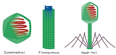 What is a virus? - Medical Yukti