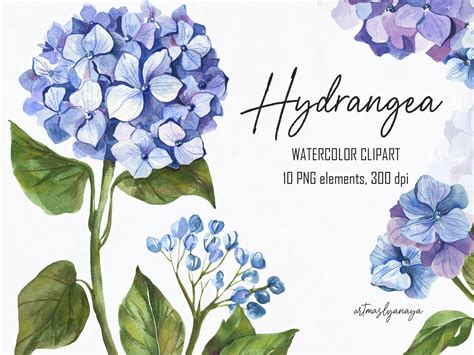 Card Making & Stationery Materials Hydrangea watercolor bouquets clip ...