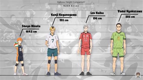 Anime Character Height Comparison