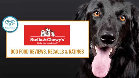 Stella & Chewy Dandy Lamb Dinner Patties Freeze-Dried Raw Dog Food Review | Scout Knows