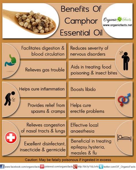 Health Benefits of Camphor Essential Oil | Organic Facts | Coconut ...