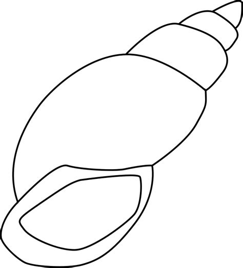 Snail shell | Clipart Panda - Free Clipart Images