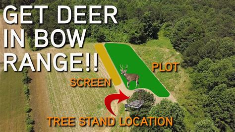 BOW HUNTING FOOD PLOTS | Get Deer Within Bow Range! - YouTube