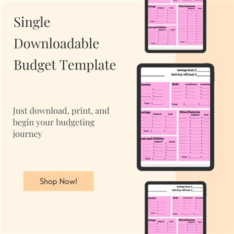 Simple Budget Template, Budget Templates, Monthly Budget, Budget ...
