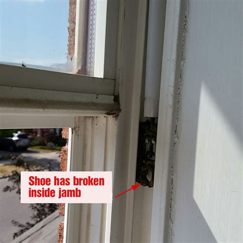 Double Hung Window Repair or Sash Window Repair Repair Service Screen ...