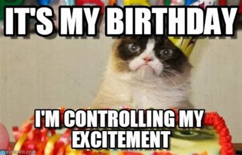 101 "It's My Birthday" Memes to Share Your Birthday Month Excitement | Birthday humor, Grumpy ...