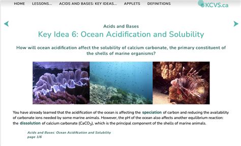 Equilibrium and Ocean Acidification - Planetary Boundaries