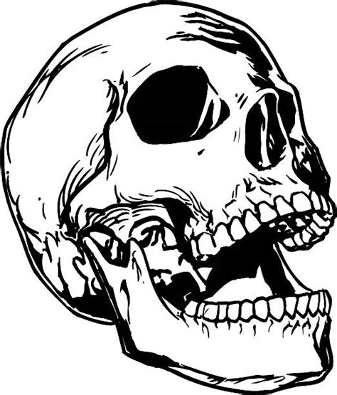 1,400+ Skull Mouth Open Stock Photos, Pictures & Royalty-Free Images ...