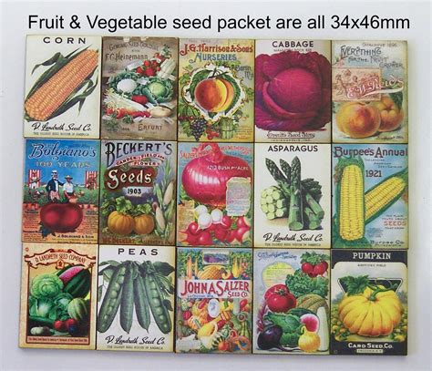 SEED PACKETS Fruit & Vegetables. | Etsy