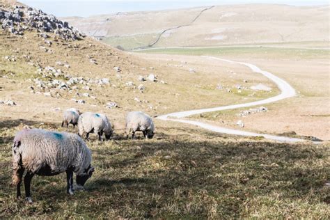 Hiking in the Yorkshire Dales | Independent People