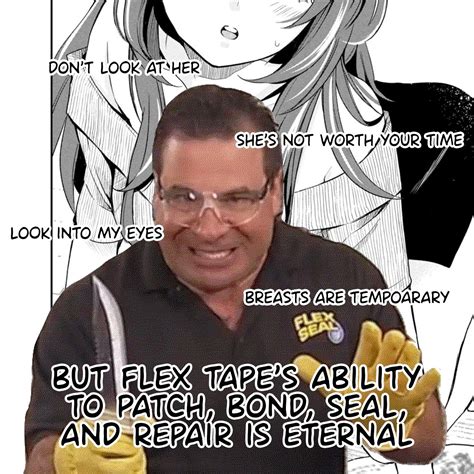 The flex tape : r/memes