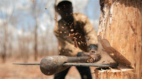 Cutting down a tree with an ax