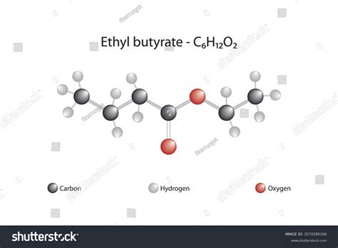 Molecular Formula Ethyl Butyrate Ethyl Butyrate Stock Vector (Royalty Free) 2070280166 ...