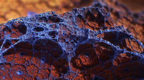 CGI, Photo Manipulation, 3D, Fractal Wallpapers HD / Desktop and Mobile Backgrounds