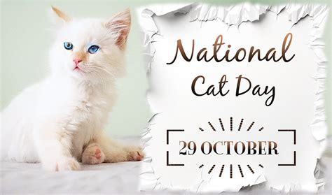 National Cat Day: Cat Day Quotes And Wishes - HubPages