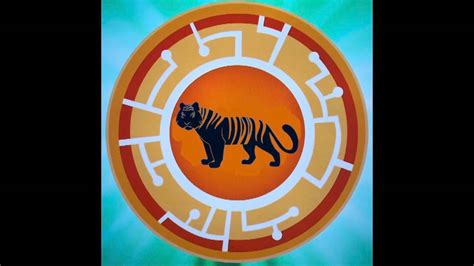 Wild Kratts Tiger Power Disc by Bvega41 on DeviantArt