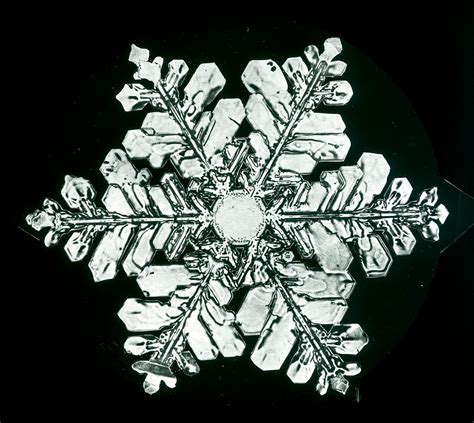 Snowflakes: The Extraordinary Micro Photographs of Winter Snow Crystals by Wilson “Snowflake ...