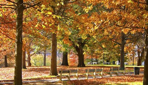 5 Remarkable Destinations For Fall Foliage – Forbes Travel Guide Stories