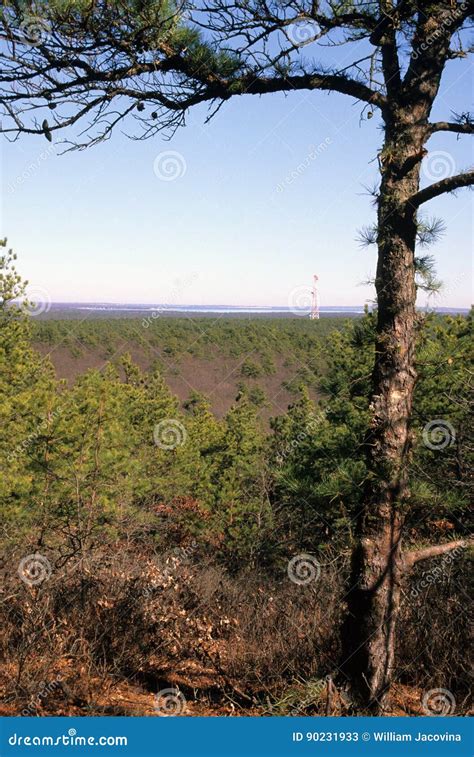 View from Bald Hill stock image. Image of view, open - 90231933