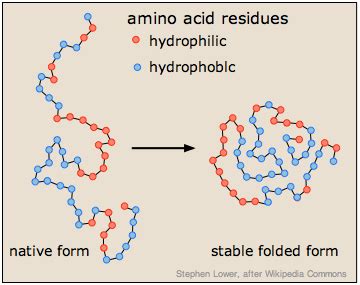 17.6: Catalysts and Catalysis - Chemistry LibreTexts