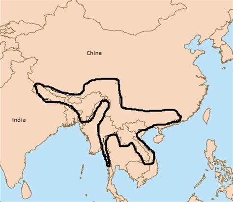 Assam Macaque Monkey: Lifespan, Habitat & Facts | Study.com