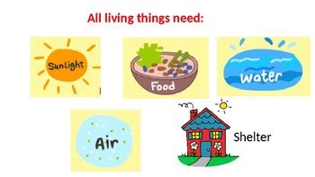 Living things PowerPoint with free worksheets by All about teaching