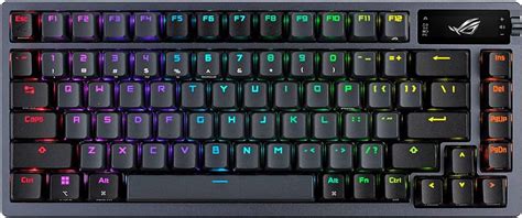 Menge Veraltet Schwamm asus laptop rgb keyboard control Menstruation ...