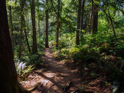 11 transit-accessible hikes in and around Seattle - Curbed Seattle