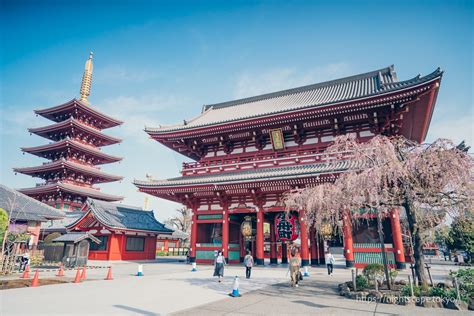 Sensoji Temple nightview info(highlights, directions, entrance fees, etc.)