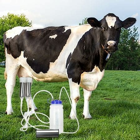 Milking Machine for Cow or Sheep, Portable Electric Vacuum Pump Cow ...