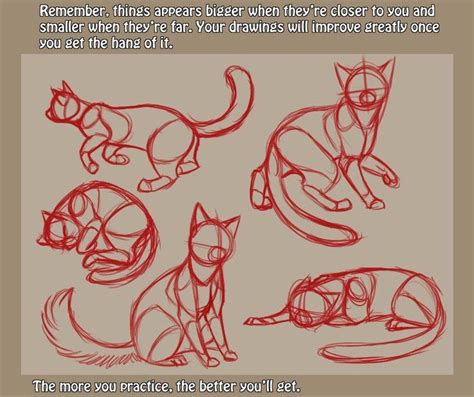 Мои закладки | Cat drawing tutorial, Cats art drawing, Drawing tutorial