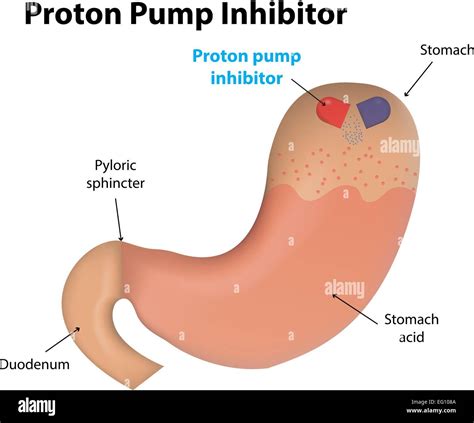 Proton Pump Inhibitor Mechanism