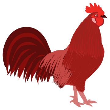 Beautiful Red Rooster Logo Vector, Bird, Rooster, Animal PNG and Vector with Transparent ...