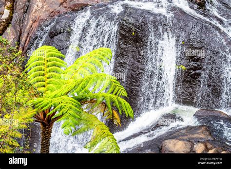 Bakers Falls In Horton Plains, Sri Lanka. The Height Of Bakers Waterfalls Is 20 Metres And The ...